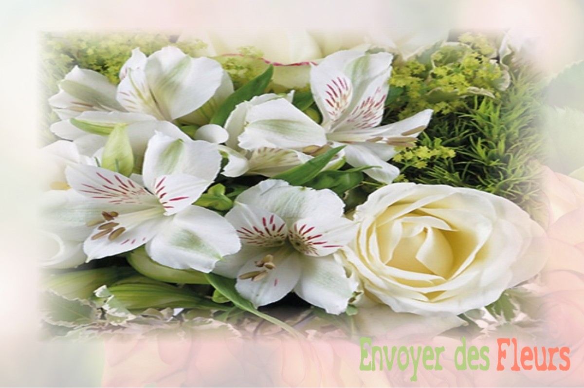 envoyer des fleurs à à AVESNES-SUR-HELPE